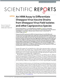 An HRM Assay to Differentiate Sheeppox Virus Vaccine