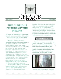 CREATOR VOL 19 NUM 2 CREATOR VOL 12 NUM 3.Qxt