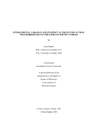 Environmental Variation and Its Effect on the Success of Crop-Wild