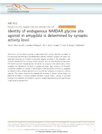 Identity of Endogenous NMDAR Glycine Site Agonist in Amygdala Is Determined by Synaptic Activity Level