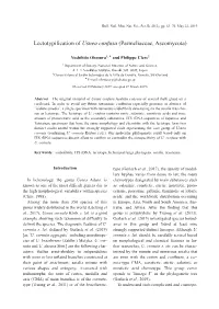 Lectotypification of Usnea Confusa (Parmeliaceae, Ascomycota)