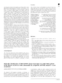 Molecular Identification of Cbfb-MYH11 Fusion Transcripts in an AML M4eo Patient in the Absence of Inv16 Or Other Abnormality By