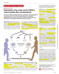 Reintroduction of the Archaic Variant of NOVA1