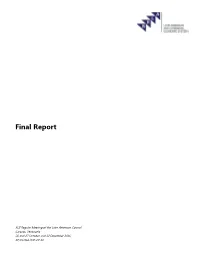 Final Report