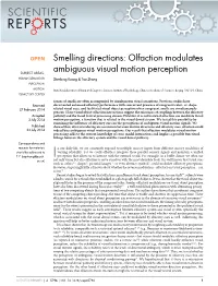 Olfaction Modulates Ambiguous Visual Motion Perception