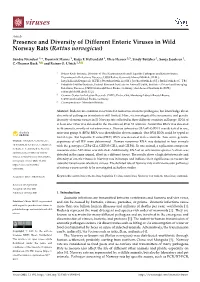 Presence and Diversity of Different Enteric Viruses in Wild Norway Rats (Rattus Norvegicus)