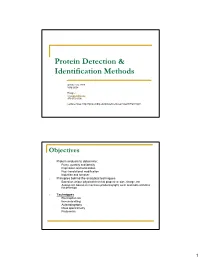 Protein Detection & Identification Methods