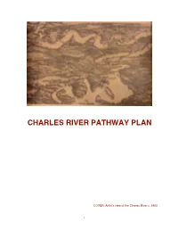 1975 Charles River Pathway Plan