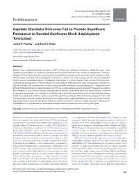 Capitate Glandular Trichomes Fail to Provide Significant Resistance To