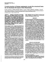 Crystal Structure of Human Angiogenin Reveals the Structural Basis for Its Functional Divergence from Ribonuclease K