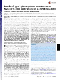 Functional Type 2 Photosynthetic Reaction Centers Found in the Rare Bacterial Phylum Gemmatimonadetes
