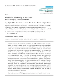 Membrane Trafficking in the Yeast Saccharomyces Cerevisiae Model
