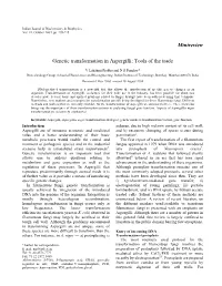 Minireview Genetic Transformation in Aspergilli
