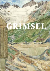 Publikation „GRIMSEL“