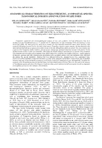 Anatomical Characteristics of Xeranthemum L