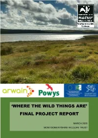 'Where the Wild Things Are' Final Project Report