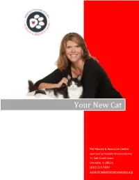 Your New Cat