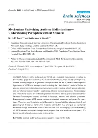 Mechanisms Underlying Auditory Hallucinations— Understanding Perception Without Stimulus