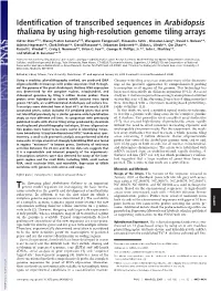 Identification of Transcribed Sequences in Arabidopsis Thaliana by Using High-Resolution Genome Tiling Arrays