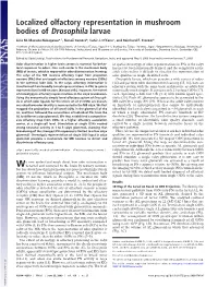 Localized Olfactory Representation in Mushroom Bodies of Drosophila Larvae
