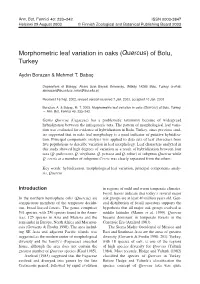 Morphometric Leaf Variation in Oaks (Quercus) of Bolu, Turkey
