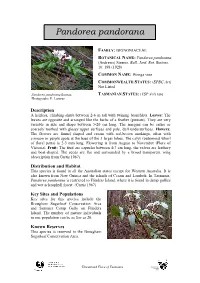 Pandorea Pandorana