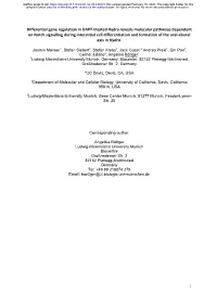 Differential Gene Regulation in DAPT-Treated Hydra Reveals
