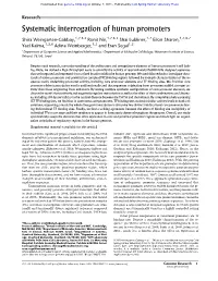 Systematic Interrogation of Human Promoters