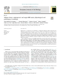 Adipose Tissue, Angiogenesis and Angio-MIR Under Physiological and Pathological Conditions