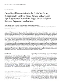 Cannabinoid Transmission in the Prelimbic Cortex Bidirectionally