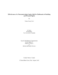 Effectiveness of a Non-Penetrating Captive Bolt for Euthanasia of Suckling and Weaned Piglets