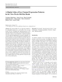 A Digital Atlas of Ion Channel Expression Patterns in the Two-Week-Old Rat Brain