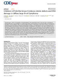 Inhibition of Polo-Like Kinase 4 Induces Mitotic Defects and DNA Damage in Diffuse Large B-Cell Lymphoma