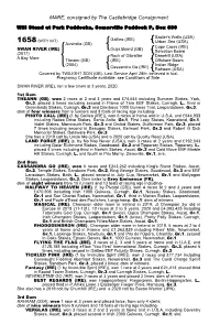 MARE, Consigned by the Castlebridge Consignment