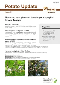 Potato Update Issue 3