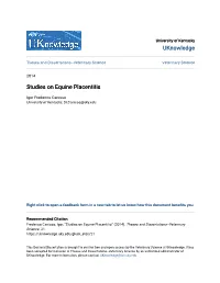 Studies on Equine Placentitis