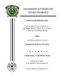 Ver Documento