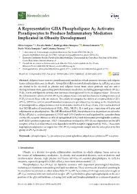 A Representative GIIA Phospholipase A2 Activates Preadipocytes to Produce Inﬂammatory Mediators Implicated in Obesity Development