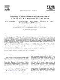 Assessment of Differences in Ascomycete Communities in the Rhizosphere of Field-Grown Wheat and Potato