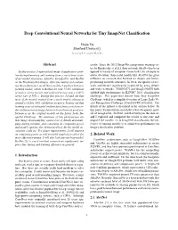 Deep Convolutional Neural Networks for Tiny Imagenet Classification