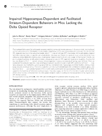 Impaired Hippocampus-Dependent and Facilitated Striatum-Dependent Behaviors in Mice Lacking the Delta Opioid Receptor
