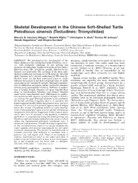 Skeletal Development in the Chinese Soft-Shelled Turtle Pelodiscus Sinensis (Testudines: Trionychidae)