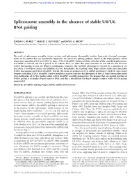 Spliceosome Assembly in the Absence of Stable U4/U6 RNA Pairing