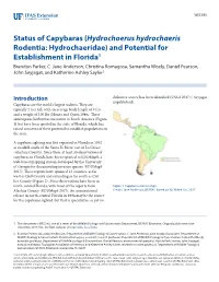 Status of Capybaras (Hydrochoerus Hydrochaeris Rodentia: Hydrochaeridae) and Potential for Establishment in Florida1 Brandon Parker, C