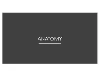 Muscles-Of-The-Head