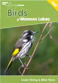 2015-Birds-Of-ML1.Pdf