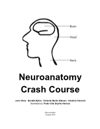 Neuroanatomy Crash Course