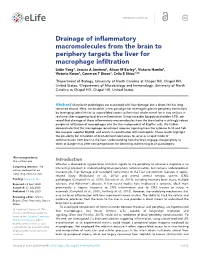 Drainage of Inflammatory Macromolecules from the Brain To