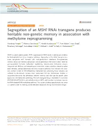 Segregation of an MSH1 Rnai Transgene Produces Heritable Non-Genetic Memory in Association with Methylome Reprogramming