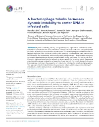 A Bacteriophage Tubulin Harnesses Dynamic Instability to Center DNA In